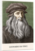 Portrait of Leonardo de Vinci by Anonymous