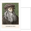 Portrait of Leonardo de Vinci by Anonymous