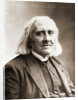 Franz Liszt by Anonymous