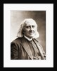 Franz Liszt by Anonymous
