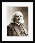 Franz Liszt by Anonymous
