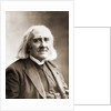 Franz Liszt by Anonymous