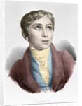 Franz Liszt as a Boy by Anonymous