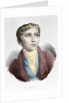 Franz Liszt as a Boy by Anonymous
