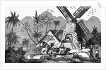 Illustration of Early Workers at West Indies Sugar Mill by Anonymous