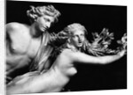 Bernini'S Sculpture Of Apollo & Daphne by Anonymous