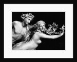 Bernini'S Sculpture Of Apollo & Daphne by Anonymous