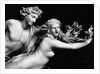 Bernini'S Sculpture Of Apollo & Daphne by Anonymous