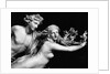 Bernini'S Sculpture Of Apollo & Daphne by Anonymous
