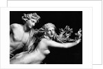 Bernini'S Sculpture Of Apollo & Daphne by Anonymous