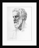Portrait Illustration of Pythagoras by Anonymous
