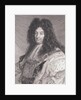 King Louis XIV of France by Anonymous