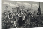 Engraving Depicting Grape Harvest by Anonymous