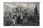 Engraving Depicting Grape Harvest by Anonymous