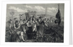 Engraving Depicting Grape Harvest by Anonymous