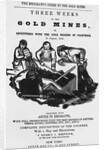 Emigrant's Guide to Gold Mines by Anonymous