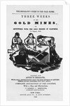Emigrant's Guide to Gold Mines by Anonymous