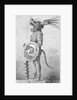 Profile Drawing of Aztec Warrior in Costume by Anonymous