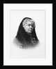 Engraving of Elizabeth Cady Stanton by Anonymous