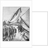Illusrtration Of Yachting Race 1885 by Anonymous