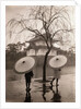 Women Carrying Japanese Umbrellas by Anonymous