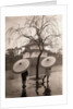 Women Carrying Japanese Umbrellas by Anonymous