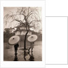 Women Carrying Japanese Umbrellas by Anonymous