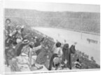 Arrival of the Winner of the Marathon Race by Andre Castaigne