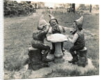 Gnomes Sitting Around a Mushroom by Anonymous