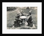 Gnomes Sitting Around a Mushroom by Anonymous