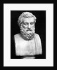 Bust Sculpture of Sophocles by Anonymous