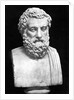 Bust Sculpture of Sophocles by Anonymous
