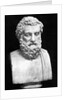 Bust Sculpture of Sophocles by Anonymous