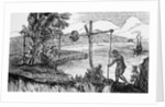Man Watering Rice Crop by Anonymous