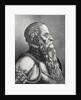 Profile Portrait of Bearded Man in Suit of Armor by Anonymous