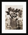 Tungus Shaman Witch Doctor with Drum by Anonymous