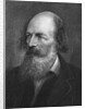 Portrait of Alfred Lord Tennyson by Anonymous