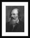 Portrait of Alfred Lord Tennyson by Anonymous