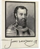 Italian Navigator Verrazano by Anonymous