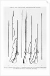 Illustration of 18th-Century Rifles and Other Weapons by Anonymous