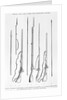 Illustration of 18th-Century Rifles and Other Weapons by Anonymous