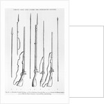 Illustration of 18th-Century Rifles and Other Weapons by Anonymous