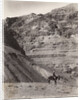 Palestinian Man On Donkey by Anonymous