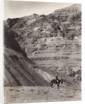 Palestinian Man On Donkey by Anonymous