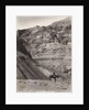 Palestinian Man On Donkey by Anonymous