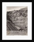 Palestinian Man On Donkey by Anonymous