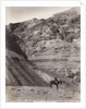 Palestinian Man On Donkey by Anonymous