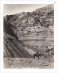 Palestinian Man On Donkey by Anonymous