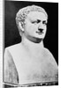 Bust of Roman Ruler Titus by Anonymous