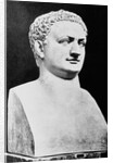 Bust of Roman Ruler Titus by Anonymous